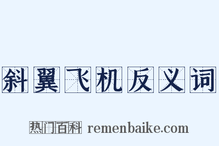 斜翼飞机反义词是什么意思的图片